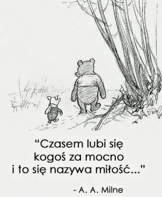 8827-jakis-cytat-z-kubusia-puchatka